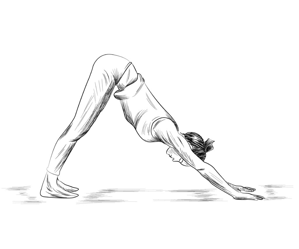 adjusting-downward-dog-yoganatomy